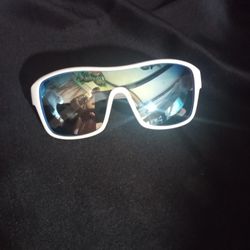 Dragon Alliance Polarized Sunglasses