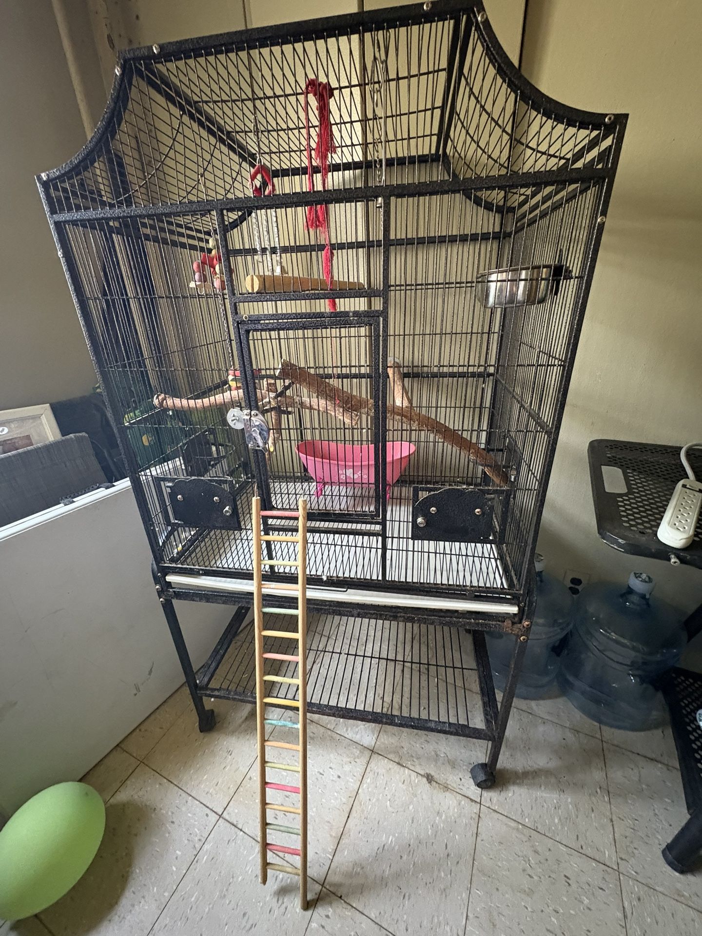 Bird Cage