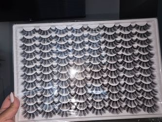 Bold LASHES