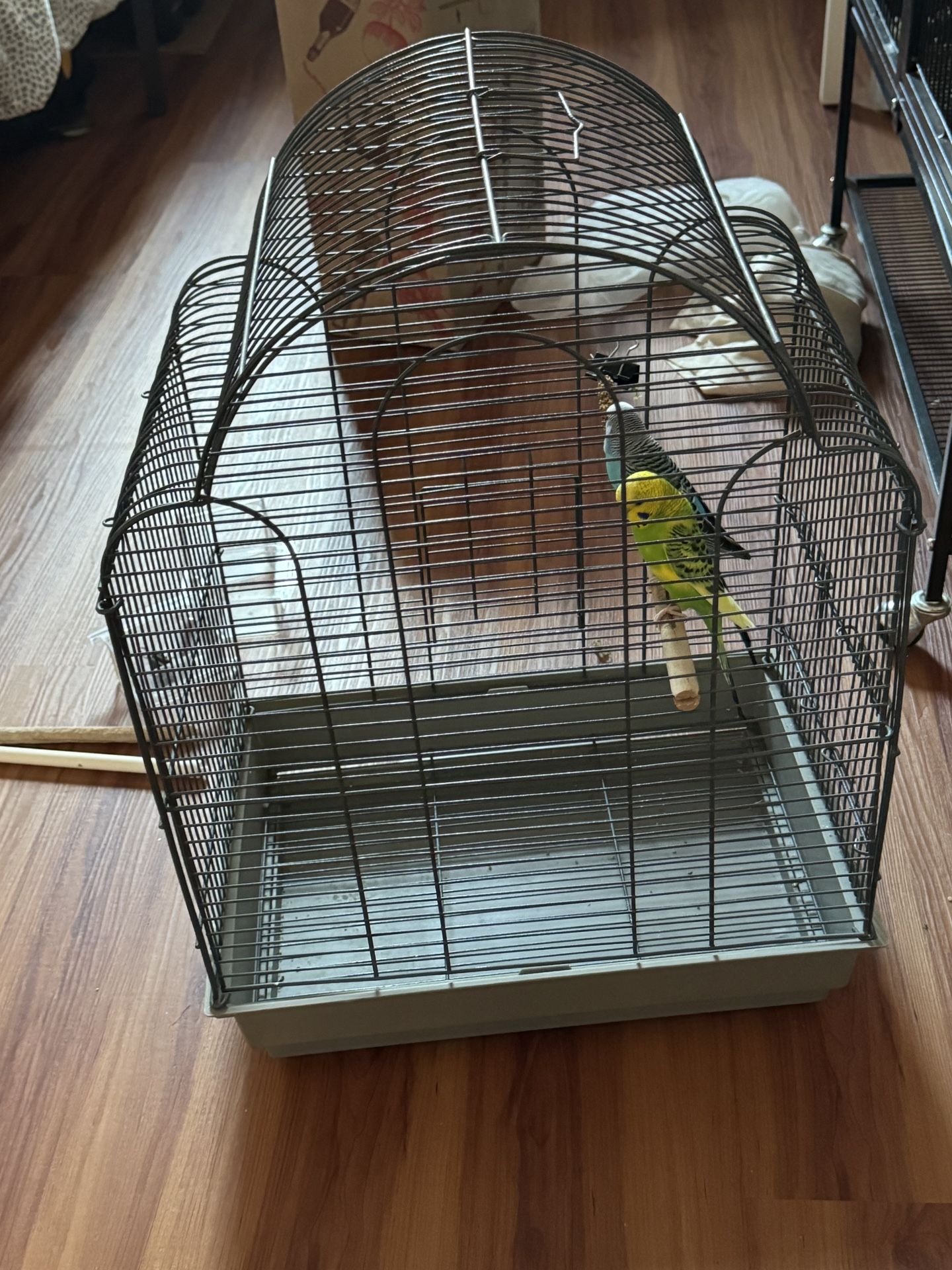 Travel Bird Cage
