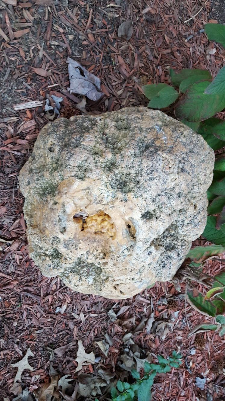 Uncut geode rock