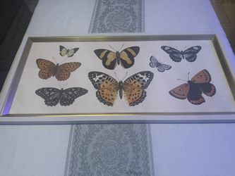 Butterfly Wall Hanging