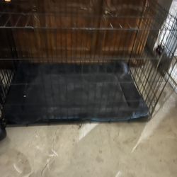 Medium Dog Crate 
