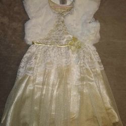 Girls Holiday Light Gold Dress Size 5