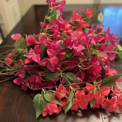 18 Steam Bougainville 