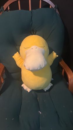 Sleeping pysduck