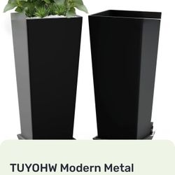 Modern Planters