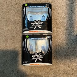 Halogen Bulbs For Car
