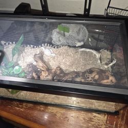 reptile tank 