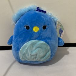 Peacock Squishmallow 