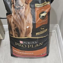 Free Dog And Cat Food