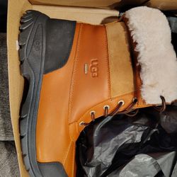 Uggs Boots 
