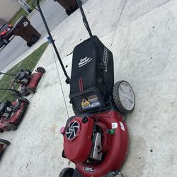 Craftsman With Bag 