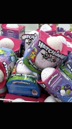 hatchimals