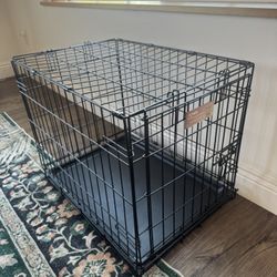 Black Dog Crate 