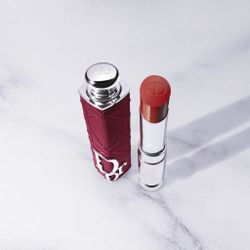 DIOR LIP CASE ONLY 