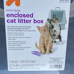 Cat Little Box
