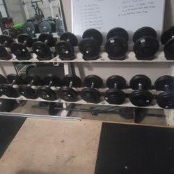 Dumbbells and Rack