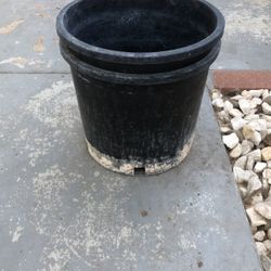 1$ For  4 Buckets. Can Be used For Planting