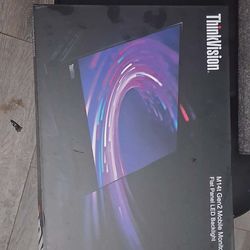 Crisp ThinkVision M14t Gen2 Mobile Monitor. LED backlight. Comes with original box. Great portable display.