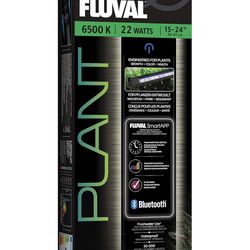 Plant fluval Led light aquarium