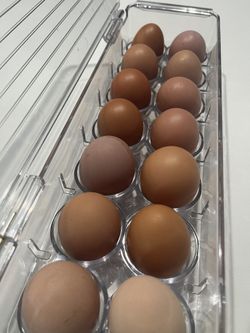 Fresh Free Range Eggs