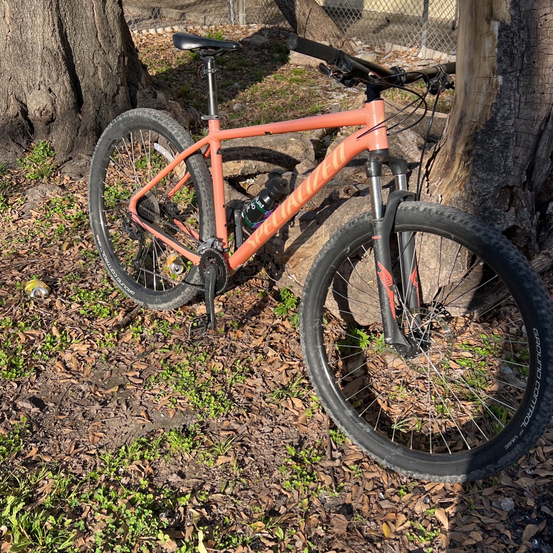 Specialized Rockhopper Mountain Bike 