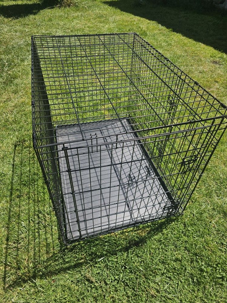 Large Dog Kennel