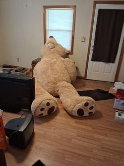 Giant Teddy Bear 