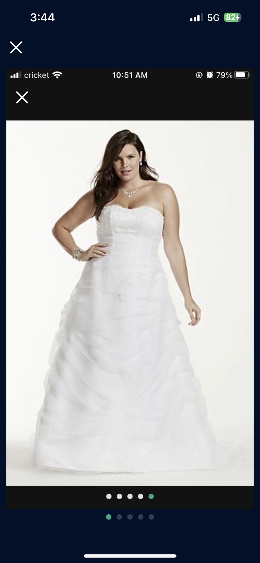 Wedding Gown & Slip