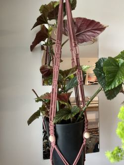 Med Size Macrame Plant Hanger With Beading 