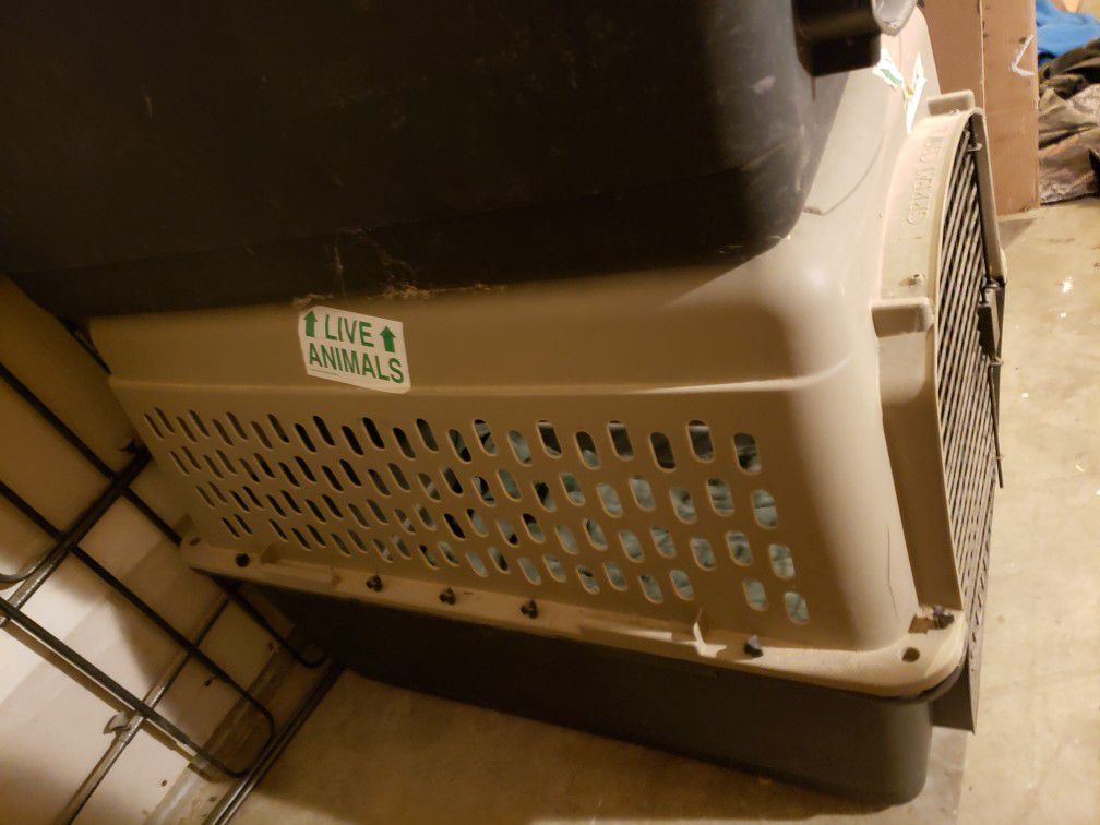 40 inch dog crate