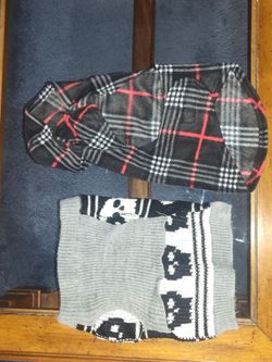 Male doggie cloths