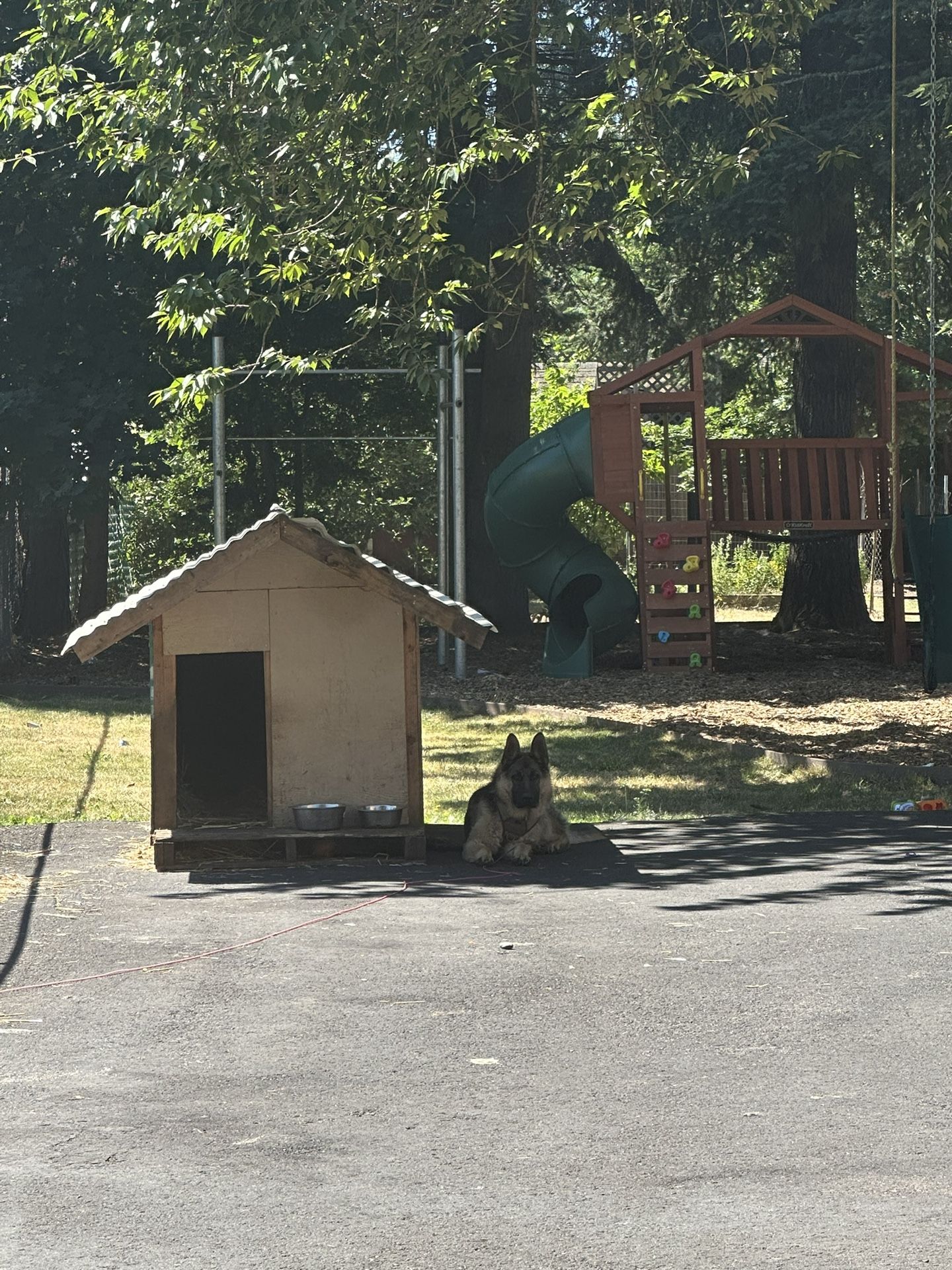 Dog House