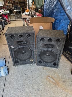 Gemini Rhino 15" Concert Speakers