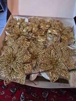 24 pascuas gold