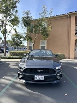2019 Ford Mustang