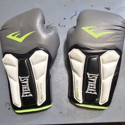 Everlast Boxing Gloves Almost New