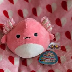 New! Flip Squishmallows 5" With Tags Archie/Triston 