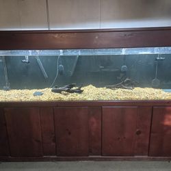 Custom 240 gallon Fish Tank  with  Stand & Canopy