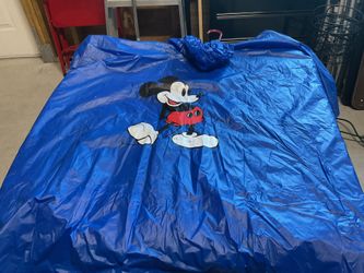 Disney poncho’s 