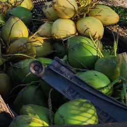 Fresh coconuts 2 For $5