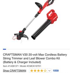 String Trimmer and Leaf Blower Combo Kit 