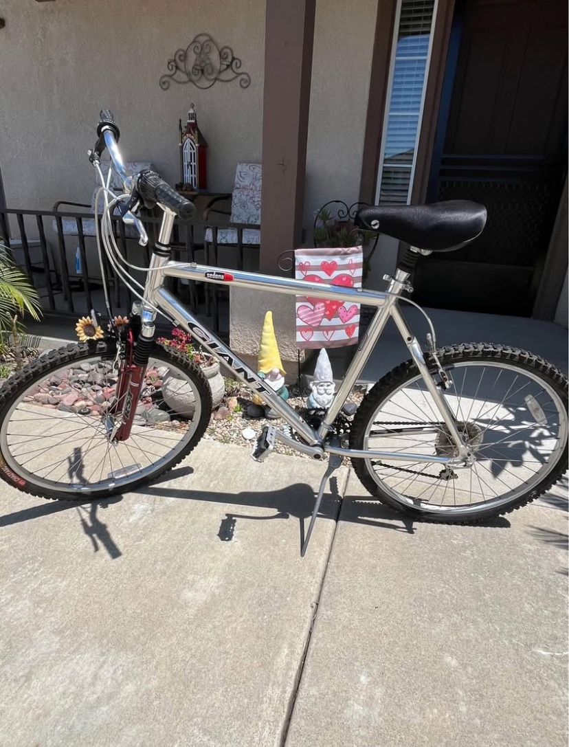 Men’s mountain bike