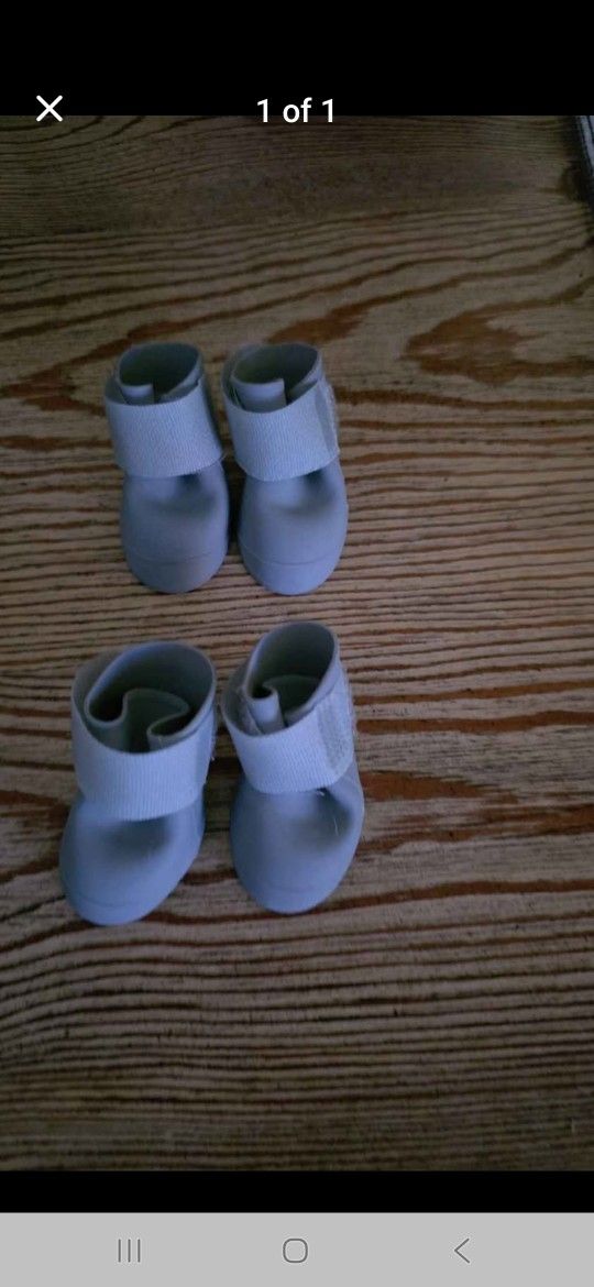 Xxsmall Dog Boots 