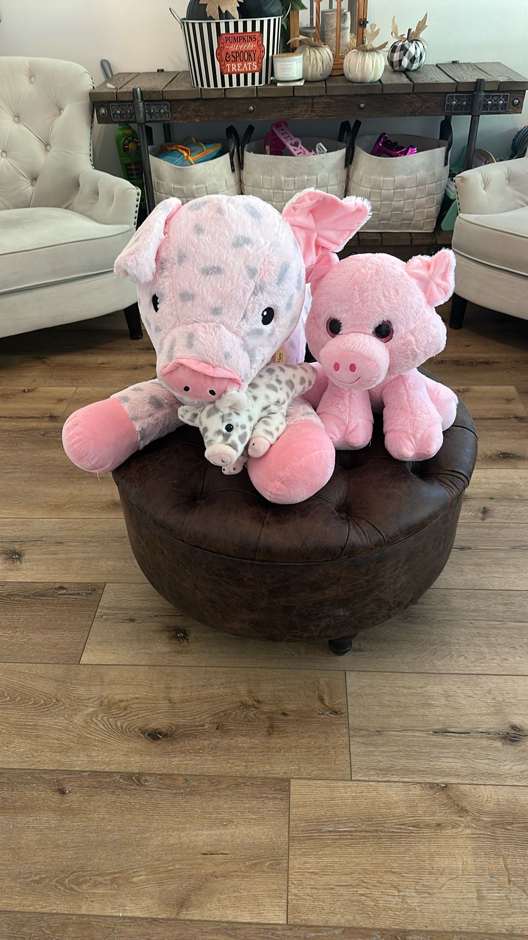 Stuffed Animal Family