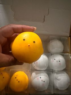 Chicky squishy