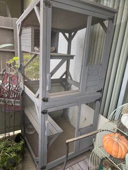 Cat outdoor enclosure