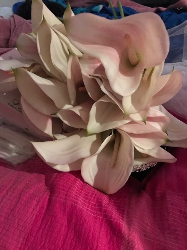 29 calla lilies