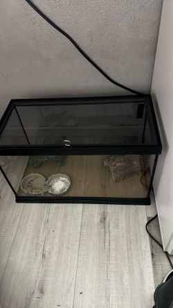 10 Gallon Tank 